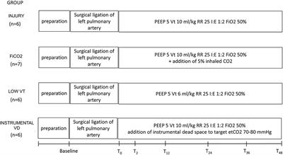 Inhaled CO2 vs. Hypercapnia Obtained by Low Tidal Volume or Instrumental Dead Space in Unilateral Pulmonary Artery Ligation: Any Difference for Lung Protection?